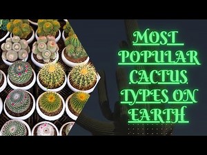 Most Popular Cactus Types on Earth / Cactus Plants / AgroStar