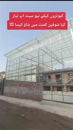 New Pigeon Setup: Share Your Thoughts!