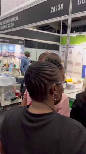 DISEN Single Head Chinese Computerized Automatic Embroidery Machine Portable Household Embroidery and Sewing Machine