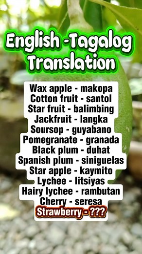 English -Tagalog Translation Tagalog -English Translation #vocabulary #translation #learnenglish #tagalogenglishtranslation #reelsvideoシ #reelsviralシ #reelsviralシfb #reelsfbシ | Ivy A. Hernandez