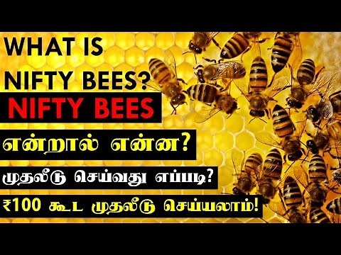 Nifty Bees Tamil | Nifty Bees என்றால் என்ன? முதலீடு செய்வது எப்படி? Nifty Bees explained in Tamil