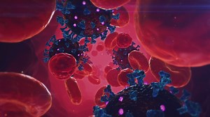 Animation of viruses infecting the human body - Free Stock Video