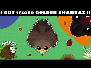 I GOT ULTRA RARE 1/5000 GOLDEN SHAHBAZ in MOPE.IO