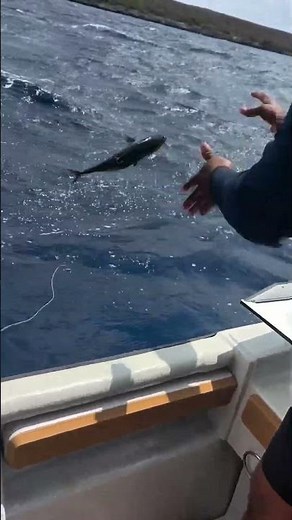 From Live Bait to Trophy Wahoo! 🛥️⚡