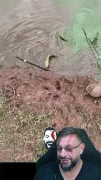 Pescou cobra no anzol? #biologohenrique #animais #bichoesperto #biologo