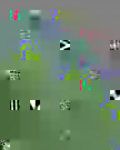 271K views · 6.6K reactions | First four of the #CWC23 Qualifier Final  #SLvNED | ICC - International Cricket Council | Facebook