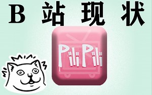 日新月异，忧患隐存：哔哩哔哩深度解析