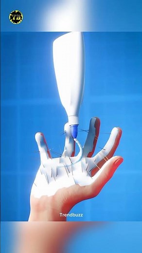 What to Do When a Cactus Thorn Gets Stuck in Your Hand #facts #lifehacks