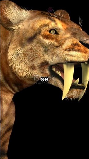 Sabertooth Cat: The Fearsome Predator of the Ice Age