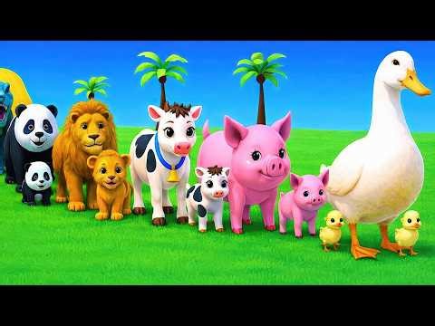 دعاء خاشع في اليوم التاسع من شهر رمضان المبارك دعاء خاشغ تهتز له القلوب - Doa Ramadan - علاء عقلV