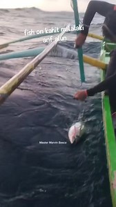 11K views · 232 reactions | Marvin Basco on Reels | Facebook