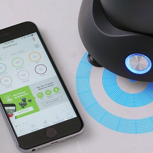 3.1K views · 5 comments | Introducing the world’s first smart nutrient extractor, Nutribullet Balance! With ingredient level tracking in real time, it’s a healthy living game changer. | NutriBullet NZ | Facebook