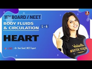 Body Fluids & Circulation L-4 | Human Heart | Class 11 | NEET Biology Lectures | Vedantu