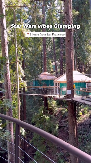 Alex Khachigian | Adventure Travel on Instagram: "👇🏼 Save & share this treehouse stay in California ⬇️ 📍Sonoma Treehouse Adventures @sonomaziplineadventures has a newly opened, one of a kind overnight treehouse stay and eco tour includes fourteen zip-lines covering eight sky bridges. I felt like I was on planet Endor in the Ewok Village from Return of The Jedi (1983) 🗡️ 👏🏼 Rating: 4.8/5 ⭐️⭐️⭐️⭐️⭐️(847 reviews) 📌 6250 Bohemian Hwy, Occidental, CA 95465 📞 Phone Number: +1 (888) 494-7868 💻