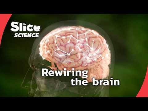 The brain’s way of healing explained | SLICE SCIENCE | FULL DOC