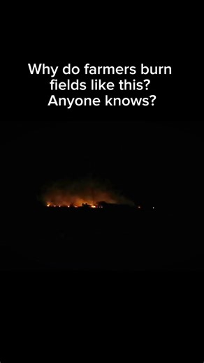 Saw this fire in a farm while traveling… what is it?
