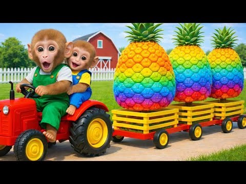 Little monkey Bim Bim drives a tractor with little rabbit to harvest pineapples
