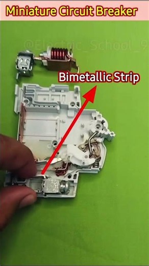How MCB Works? Live Demonstration Electric School