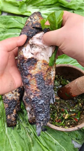 ​Rustic Riverside Feast: Grilling Fresh Fish over Open Fire!