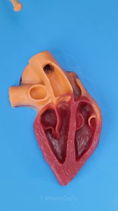 Bizarre medical secrets and hidden fixes revealed | 5-Minute Crafts Men