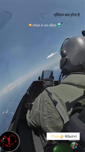 Lonal Loops on TikTok