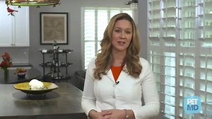 22K views · 322 reactions | If your cat is peeing outside of the litter box—on the floor, on the bed, or on your clothes—cleaning the stain and removing the odor is an important step to ensuring that your feline doesn’t become a repeat offender. Learn more: https://goo.gl/zEJ44z | PetMD | Facebook