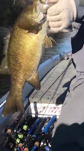 33K views · 912 reactions | Was blessed to have an incredible day today with my stepson, BASS elite Pro Angler Brandon Lester, and my good friend, Jimmy Lester!!!!!  Wifey says we are having guy time, but whatever it is, we on the grown ‘uns! This one was a five pounder. Gotta catch up with B tomorrow!! Skeeter Boats Yamaha Outboards Shipley Do-Nuts Daiwa Corporation - USA Bill Penney Toyota | Clay Dyer | Facebook