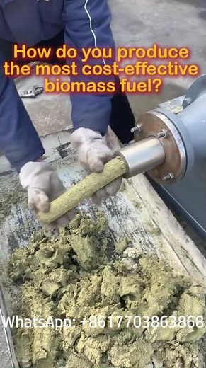 How to Produce the Most Cost-Effective Biomass? | Complete Biomass Production Process Explained