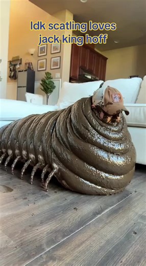 Mushroom guy 3000 (@mushroom_guy_3000)’s video of jack hoffman