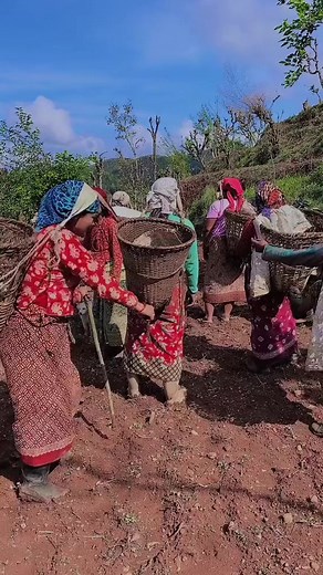 29K views · 297 reactions | Village ladies fight | Laribari Entertainment | Facebook