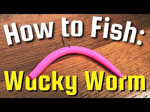 Wacky Worm 101 (Complete Wacky Rig Tutorial)