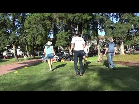 13 One step forward two step back 2025 10 10 165925