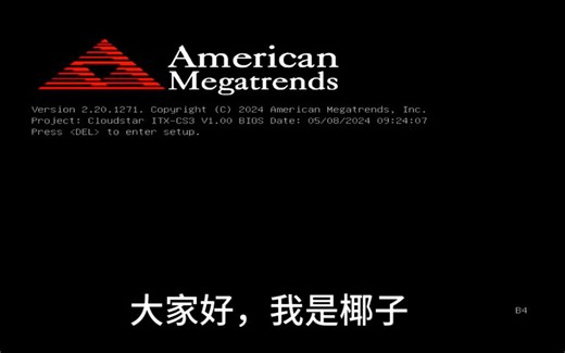 ubuntu-24.04-live-server-amd64安装过程