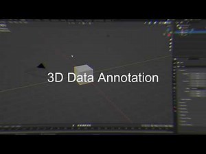 3D Data Annotation