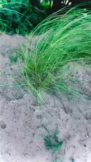 #hindisong #bollywood #robot #ekmotahathighumechala #december21st #winter #automobile #ajjubhaiinmy