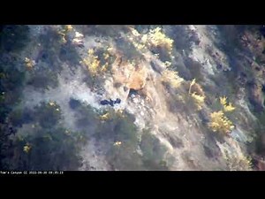 California Condor Chick Holds Wings Out Wide Outside Of Nesting Cave – Sept. 30, 2022