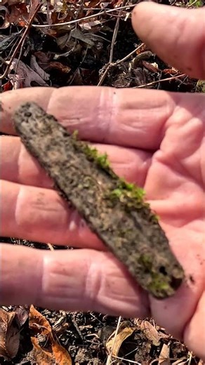 Metal Detecting Pocket Knife 1800 Coins Relics Vintage Toys Farm Western NY #metaldetecting #shorts
