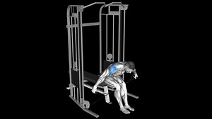 Cable Seated Rear Lateral Raise – How To Video, Alternatives & More