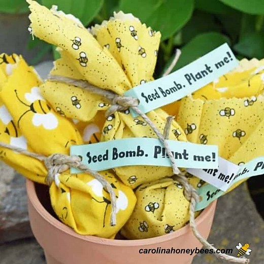 How to Make Seed Bombs (Air Dry Clay) - Carolina Honeybees