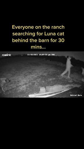 83K views · 12K reactions | #cats #dogs #farm | Raventree Ranch | Facebook