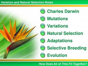 Variation and Natural Selection Notes - SlideServe