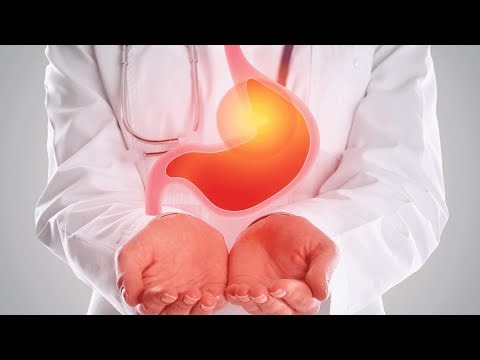 WHAT REALLY HAPPENS TO YOUR FOOD ? MIND-BLOWING DIGESTION EXPLAINED!