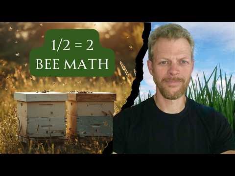 Easiest Method of Splitting Bees/Walk-Away Split