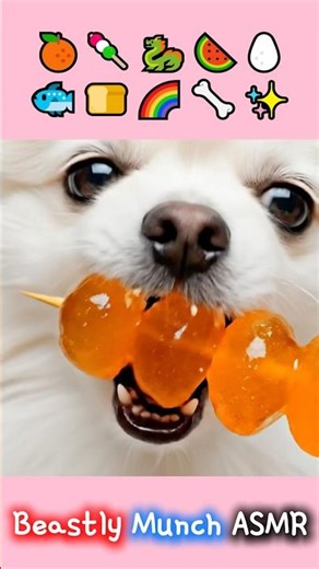 TANGHULU & RAINBOW BONE ASMR🌈 Dragon Fruit, Fish Bread #shorts #asmr #pets #cutedog #cute