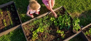 How to Create a Postage Stamp Garden | DoItYourself.com