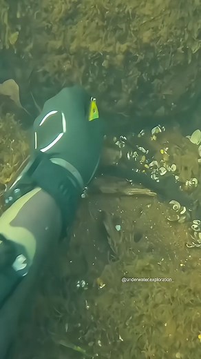 Underwater Exploration: Discovering Hidden Treasures