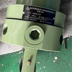 [Hot Item] 100/56-420 Hydraulic Actuator Model Single-Stage Hydraulic Piston Cylinder