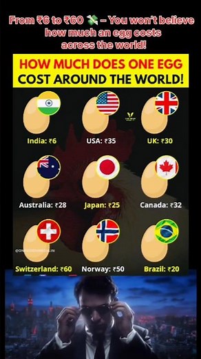 🥚 Egg Prices Around The World 2025 🌍 | From ₹6 🇮🇳 to ₹60 🇨🇭 | Shocking Global Comparison #eggs