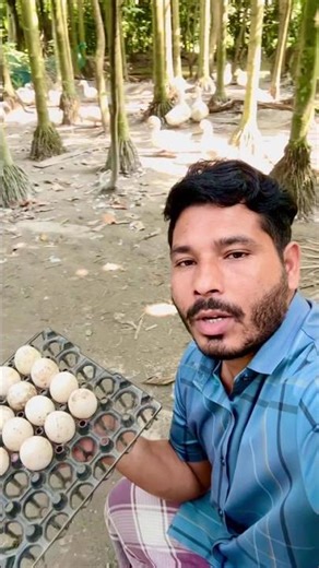 আজকে হাঁস গুলোকে ১০টায় ছাড়লাম।🦆🥚🥚