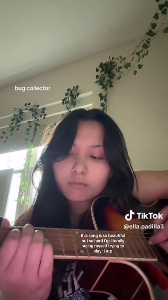 #bugcollector #guitar